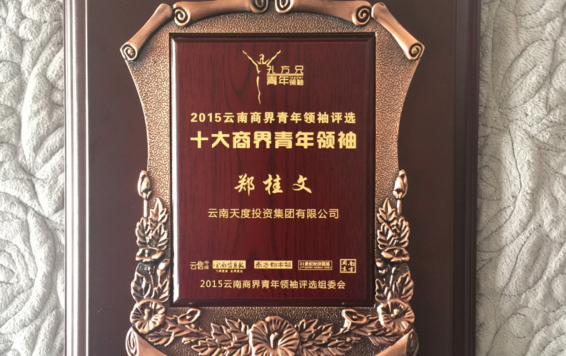 在“互聯網大時代”的背景下，天度作為本土很大和很有名的互聯網服務企業(yè)，為近萬家傳統(tǒng)企業(yè)轉型互聯網+提供了服務和幫助，獲此獎項后，我們將再接再厲，創(chuàng)造更高的社會價值